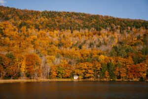 fall colours parks