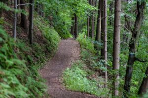 hiking improves mental health